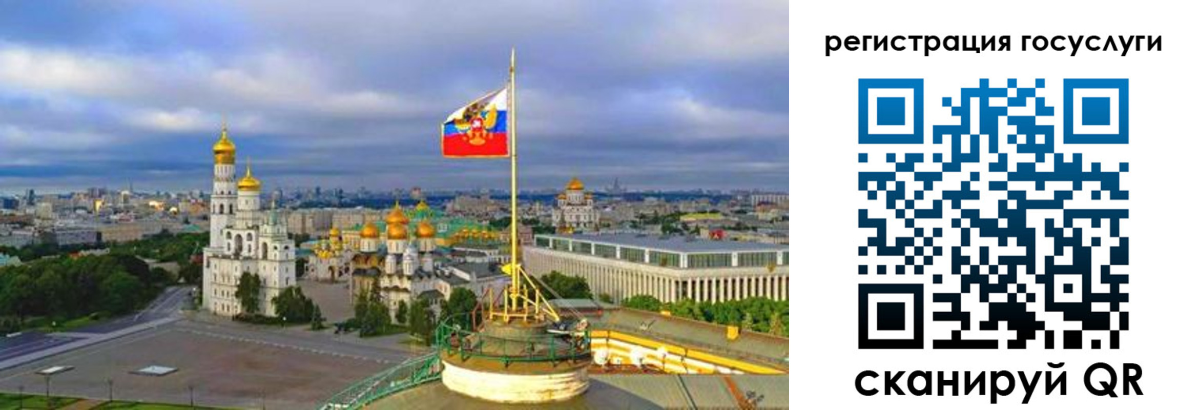 прописка гарантия в Саратове