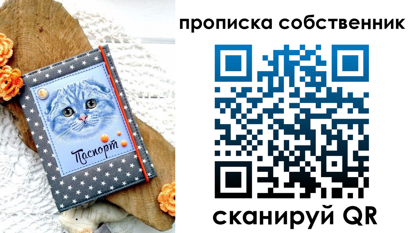 прописка для школы в Саратове